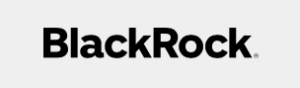 BlackRock Advantage Small Cap Growth Fund (CSGEX)