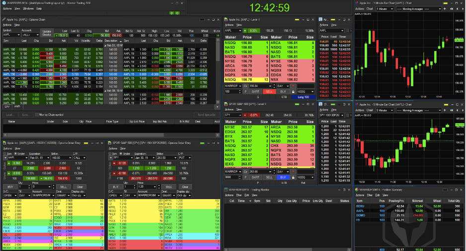 Warrior Pro Trading System