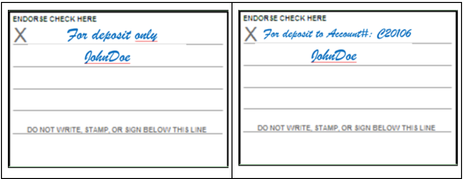 What You Need To Know About the Back of a Check