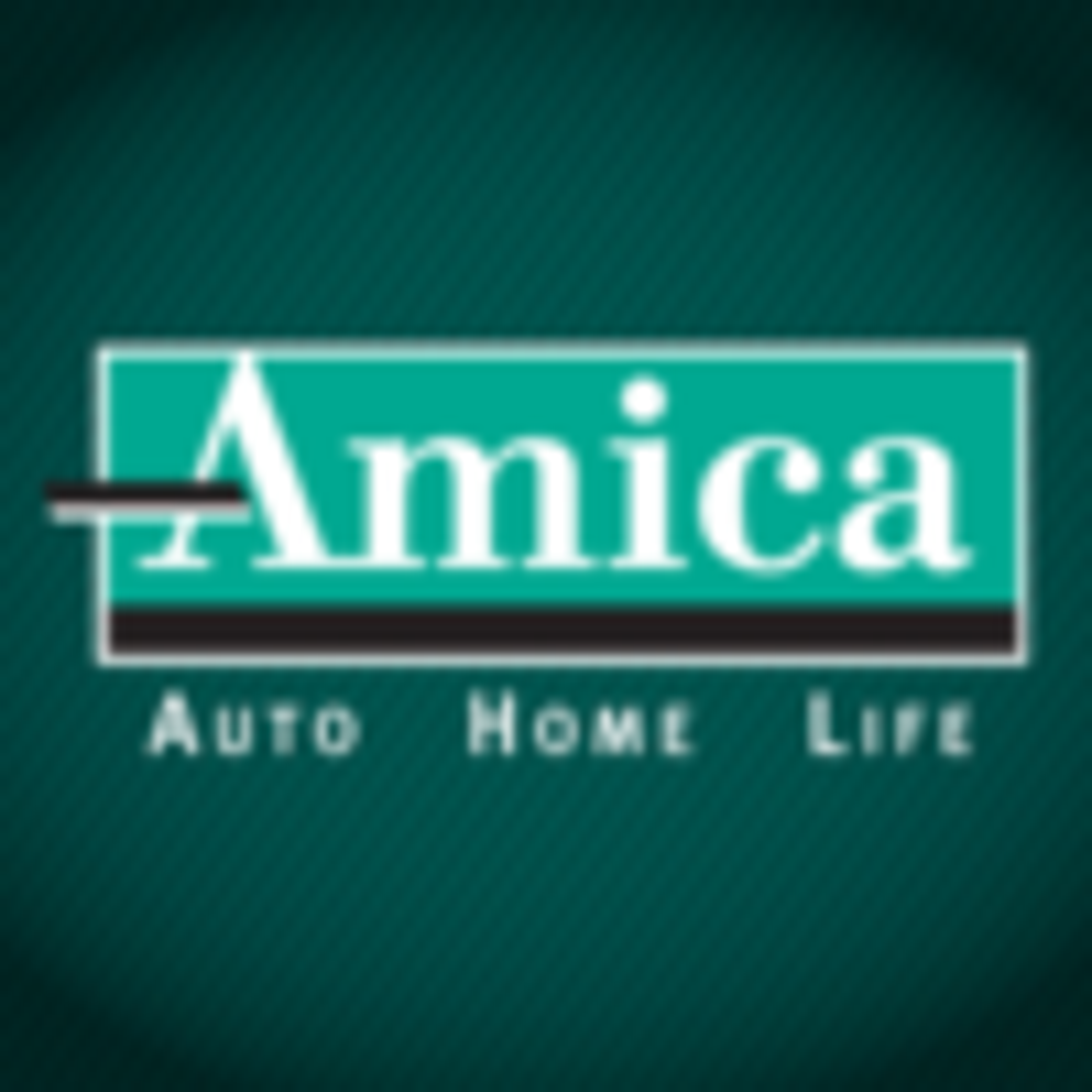 Amica Home Insurance Review