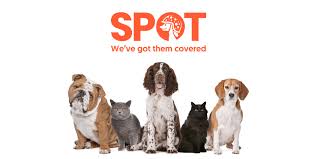 spot animal insurance