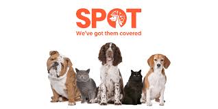 Spot Pet Insurance Review • Pet Insurance as Low as $1 a Day