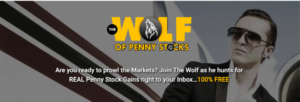 The Wolf of Penny Stocks