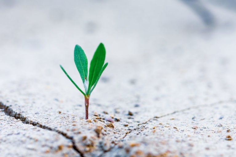 Best Growth ETFs