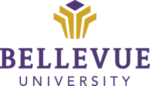 5. Bellevue University