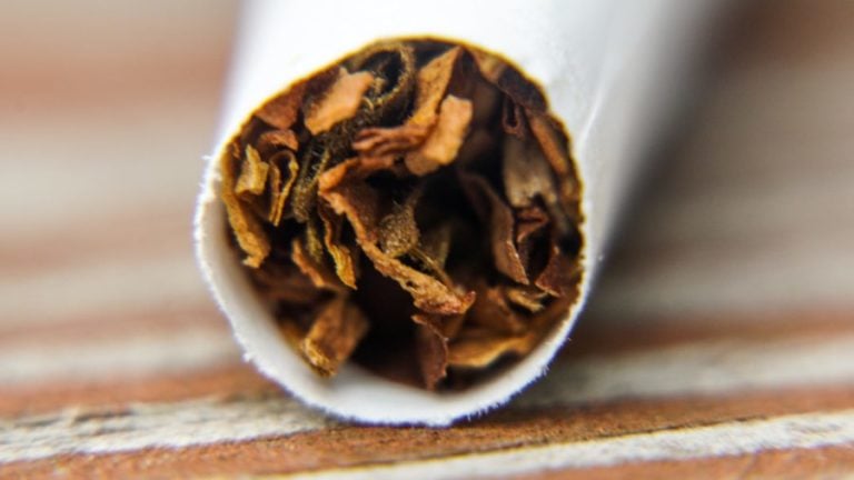 is indian tobacco illegal Native Uses of Wild Tobacco