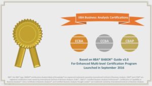 IIBA CBAP CCBA ECBA Business Analysis Certification – Part 1 by Udemy