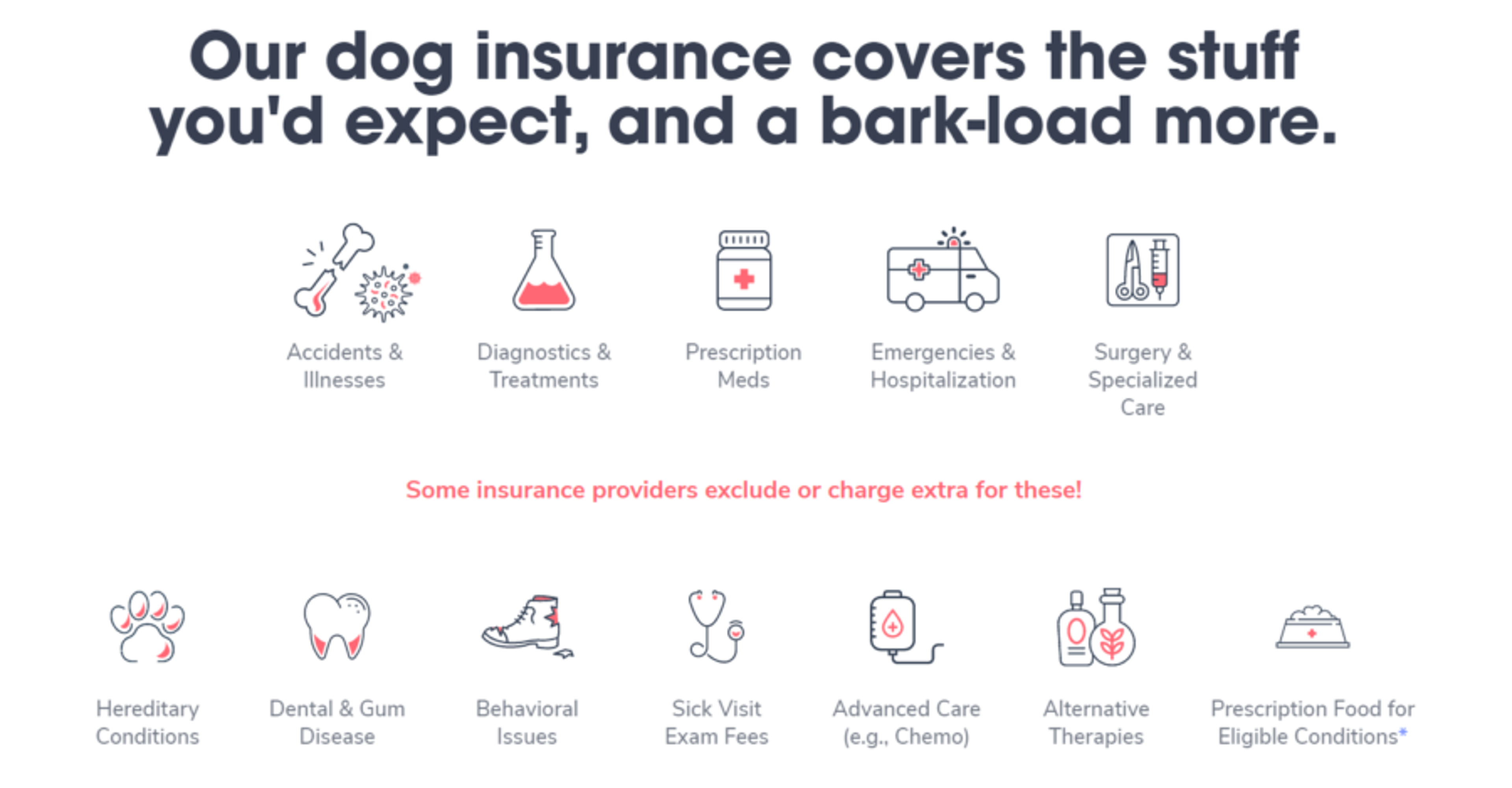 dog insurance coverage options