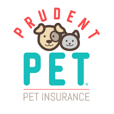 Prudent Pet Insurance Review 2022 • Get Coverage • Benzinga