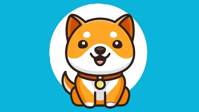 Baby dogecoin price prediction reddit