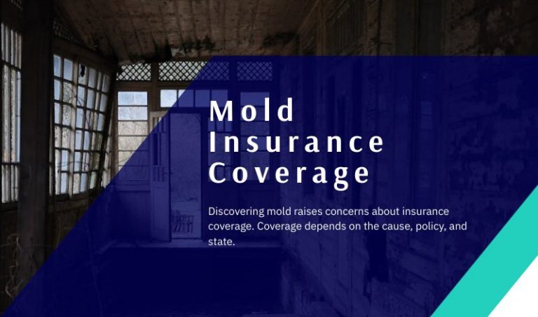 Does Homeowners Insurance Cover Mold?