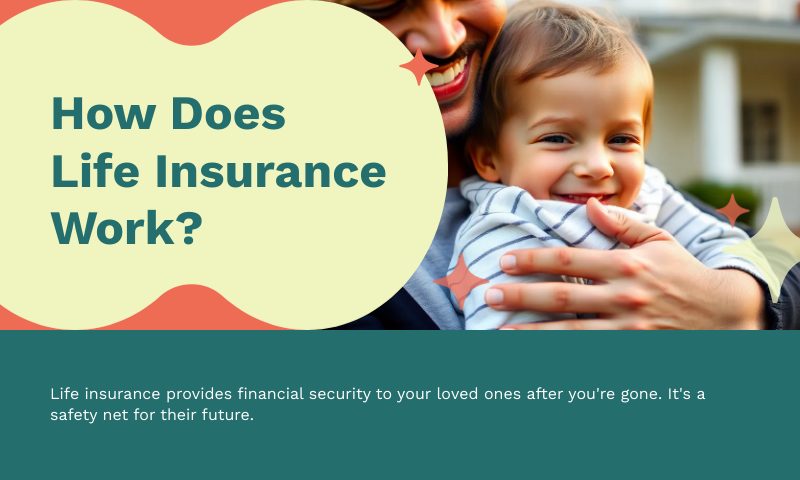 How Does Life Insurance Work?