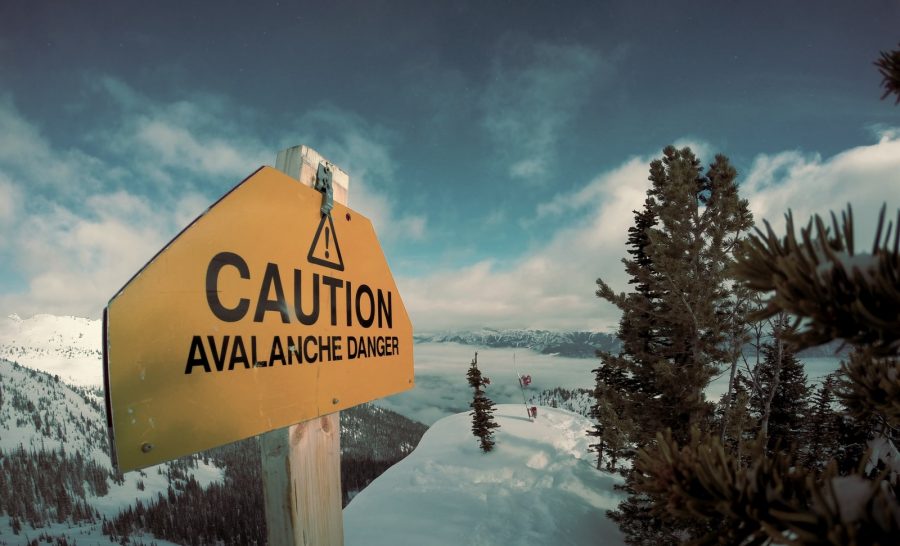 Is Avalanche Here to Stay? • Benzinga