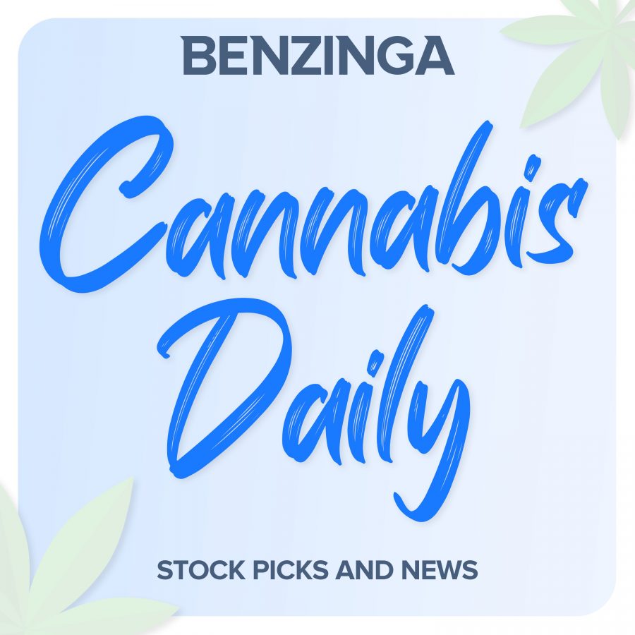 Cannabis Daily - Archives