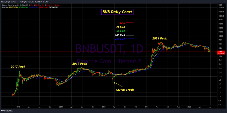 BNB Daily Price Prediction Chart