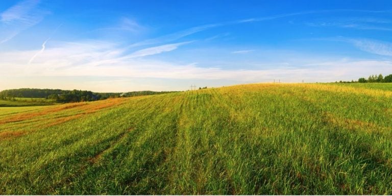 How to Invest in Farmland Without Farming