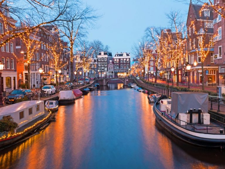 Best Forex Brokers in the Netherlands