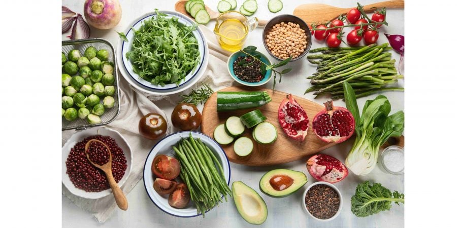 Top Performing Vegan Stocks
