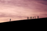 What is a Lead Investor?