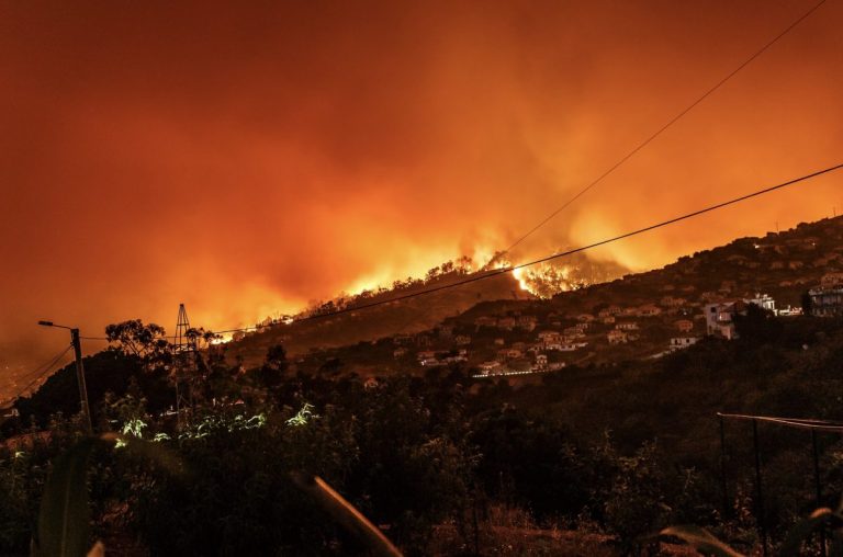The Blaze Effect: Wildfires and the Home Insurance Crisis — Which Companies Still Offer Coverage