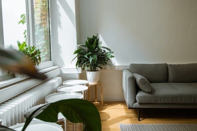 How to Buy a Rental Property With No Money