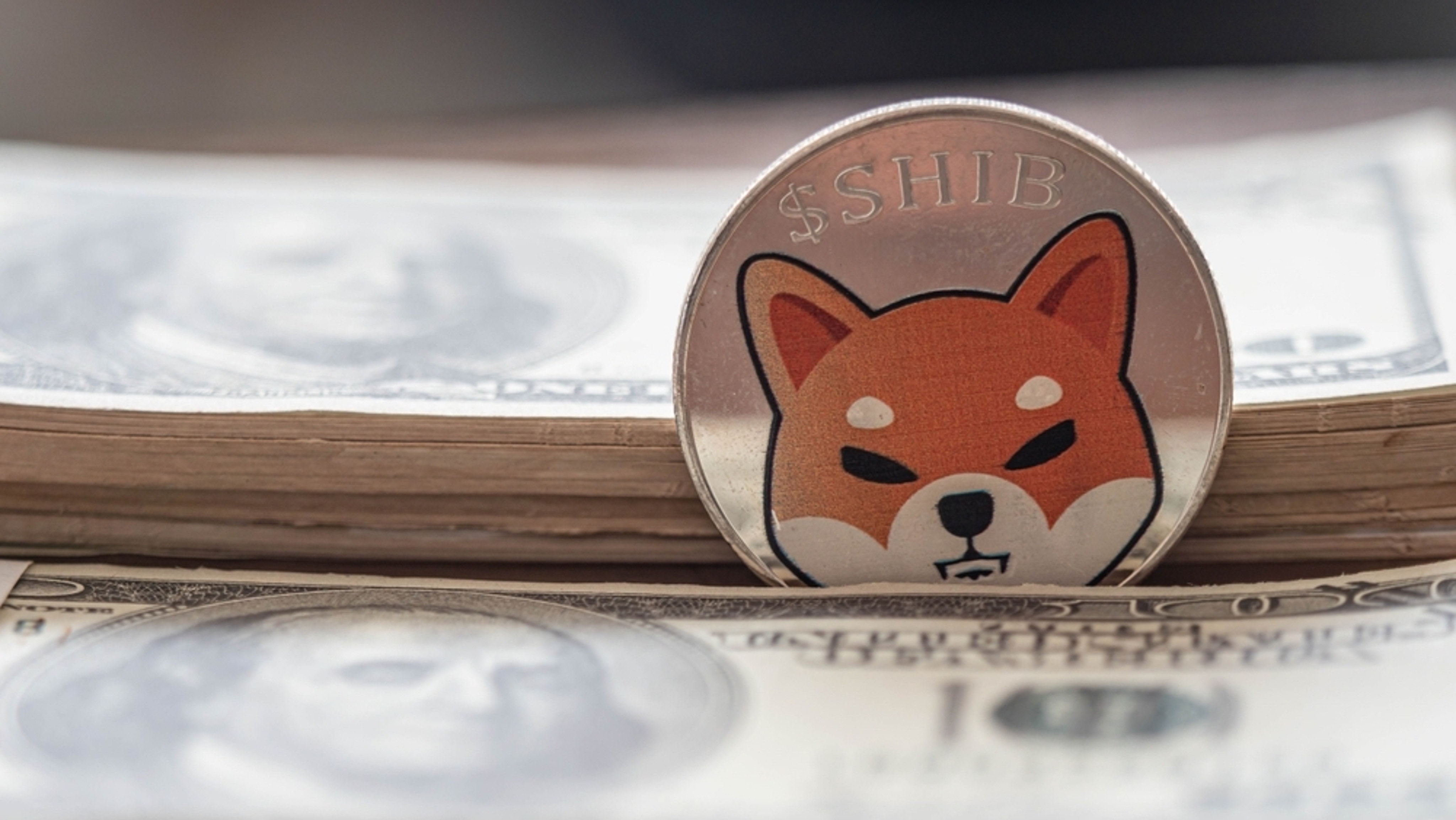 shib coin cryptocurrency