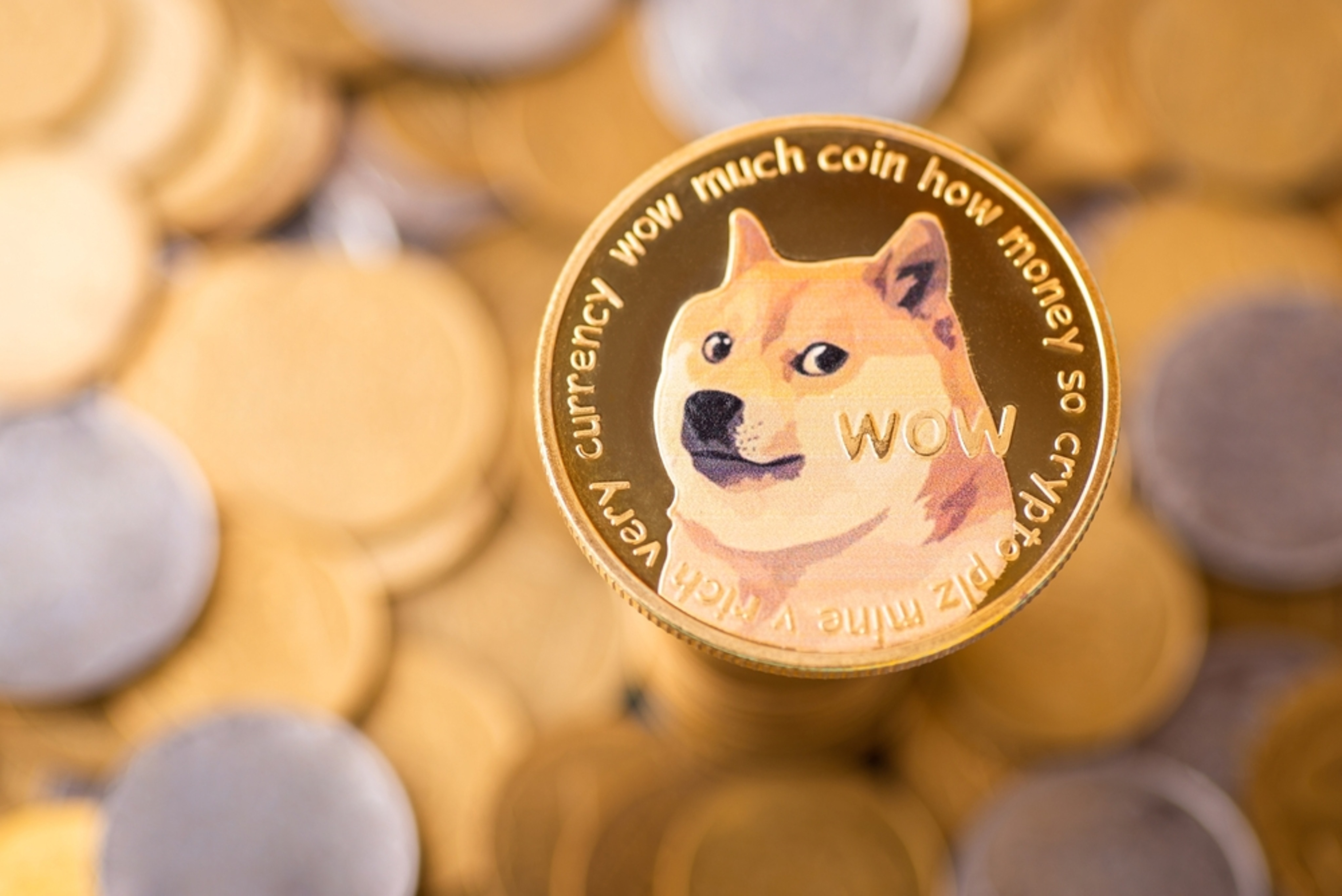 Is Dogecoin a Good Investment