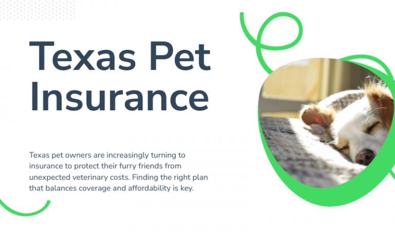 Affordable Pet Insurance in Texas