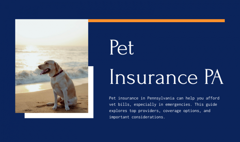 Comparing Pet Insurance Plans in Pennsylvania