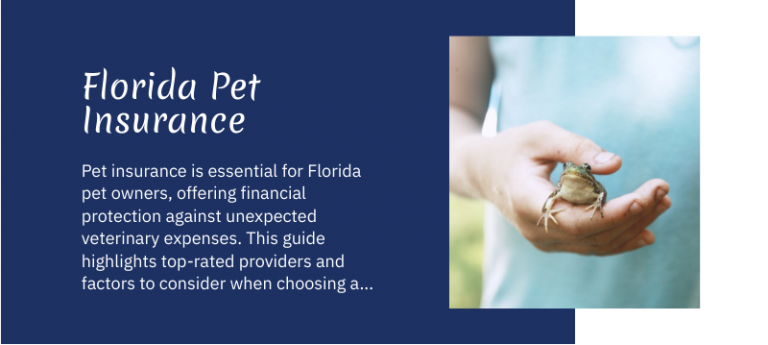 Choosing the Top-Rated Pet Insurance in Florida