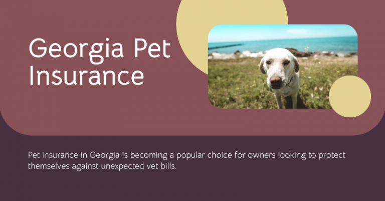 Best Pet Insurance in Georgia: Top Providers in GA