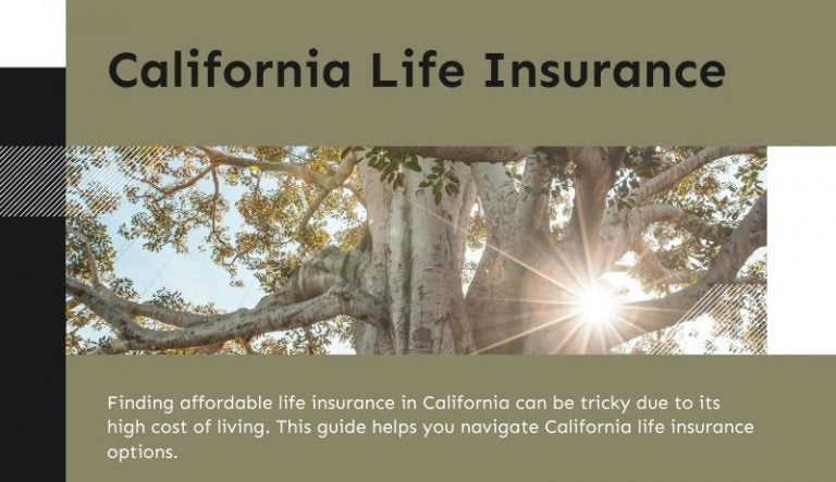 Affordable Life Insurance Options in California