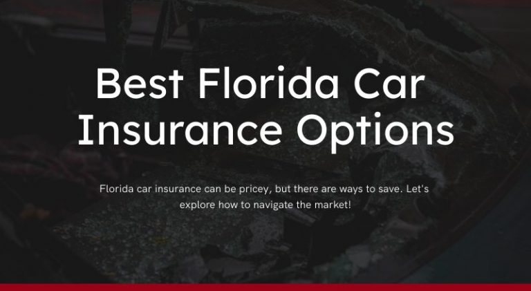 What is the Best Car Insurance in Florida: Top Picks Revealed